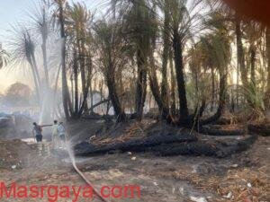 محافظ أسوان يتابع السيطرة على حريق إندلع ببعض أشجار النخيل بإدفو
