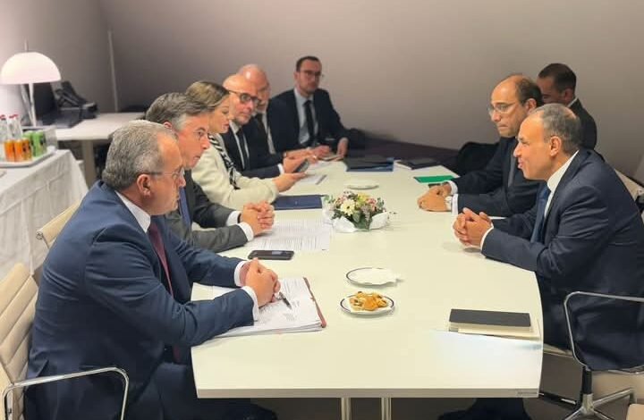 وزير الخارجية.. يلتقى مع رئيس لجنة الشئون الخارجية بالبرلمان الأوروبي