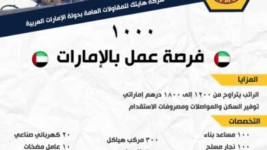 وزير العمل يُعلن عن 1000 فرصة عمل جديدة في الإمارات