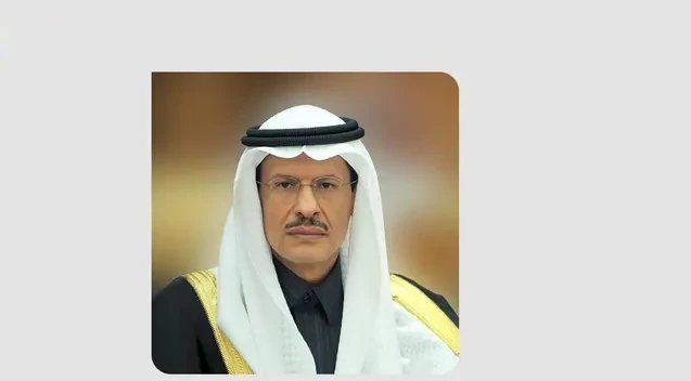 السعودية.. اكتشاف 14 حقل نفط وغاز في المنطقة الشرقية والربع الخالي