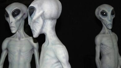 ادعاءات مثيرة حول زوار الفضاء بعد ظهور جسم غامض في الولايات المتحدة!