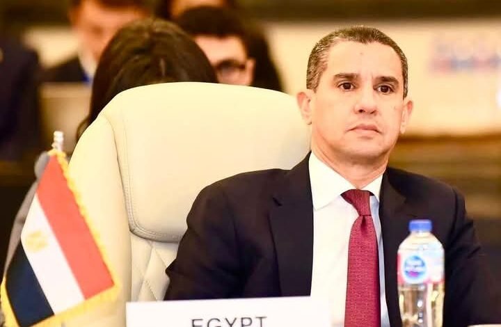 مجموعة العشرين رسمياً في مصر لأول مرة