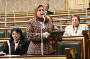 البرلمانية نسرين صلاح عمر : ثورة 30 يونيو دروس مستفادة و نقطة تحول نحو الجمهورية الجديدة