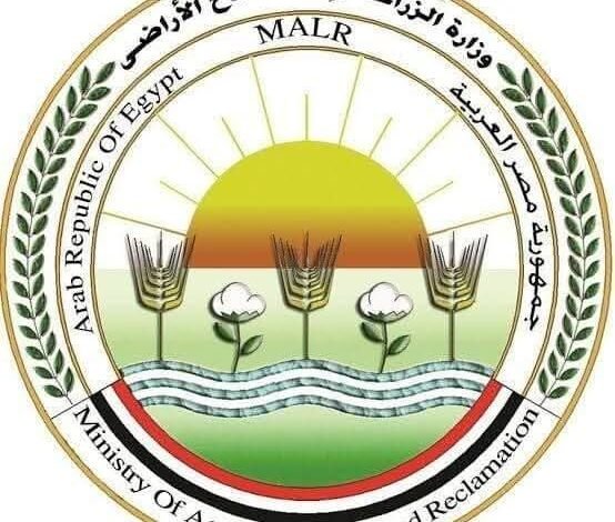 "الزراعة": تحصين المواشي ضد الحمى القلاعية وحمى الوادي المتصدع 