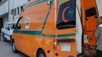 مقتل مسن على يد نجله فى المنيا