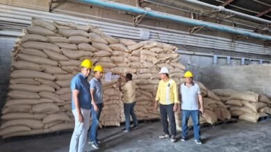 لجان للتفتيش على مخازن الأعلاف وخاماتها.. وإجراءات صارمة ضد المخالفين