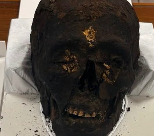 مصر تسترد عدد من القطع الأثرية من المملكة المتحدة وألمانيا