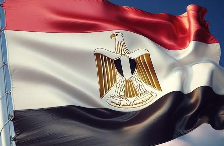  مصر ترحب باعتماد الجمعية العامة للأمم المتحدة قراراً يؤيد إعلان نيويورك بشأن تنفيذ حل الدولتين