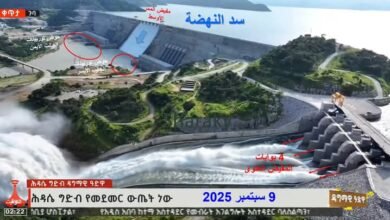 افتتاح سد النهضة بتوربينات متوقفة و 4 بوابات مفتوحة مع الممر الأوسط: