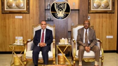 وزير الخارجية يؤكد تضامن مصر مع السودان في إنهاء حصار مدينة الفاشر